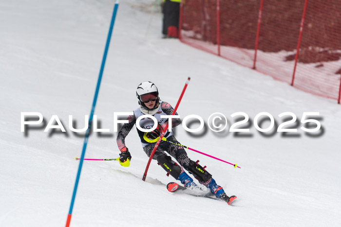 Actanol Schülercup Alpin U14 SL, 14.02.2026