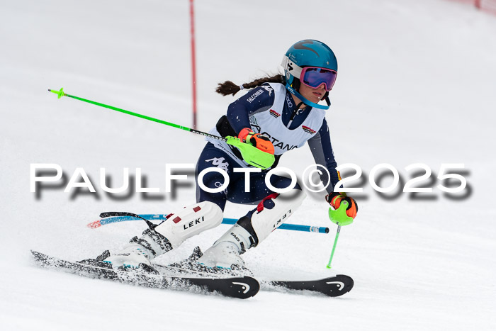Actanol Schülercup Alpin U14 SL, 14.02.2026