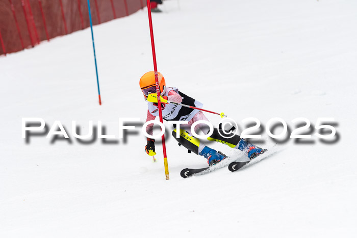 Actanol Schülercup Alpin U14 SL, 14.02.2026
