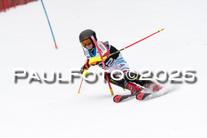 Actanol Schülercup Alpin U14 SL, 14.02.2026