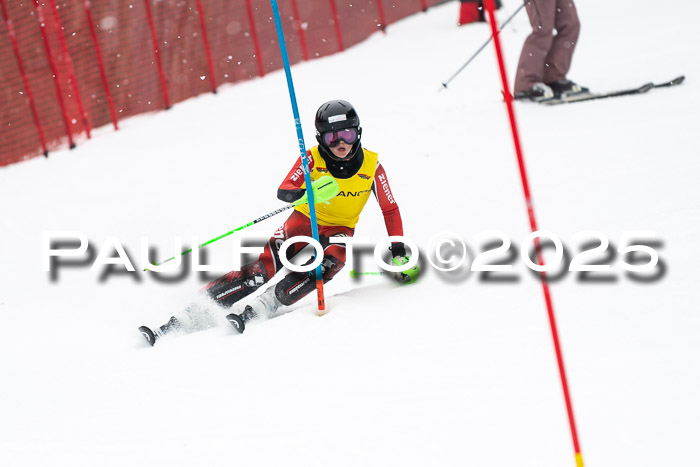 Actanol Schülercup Alpin U14 SL, 14.02.2026