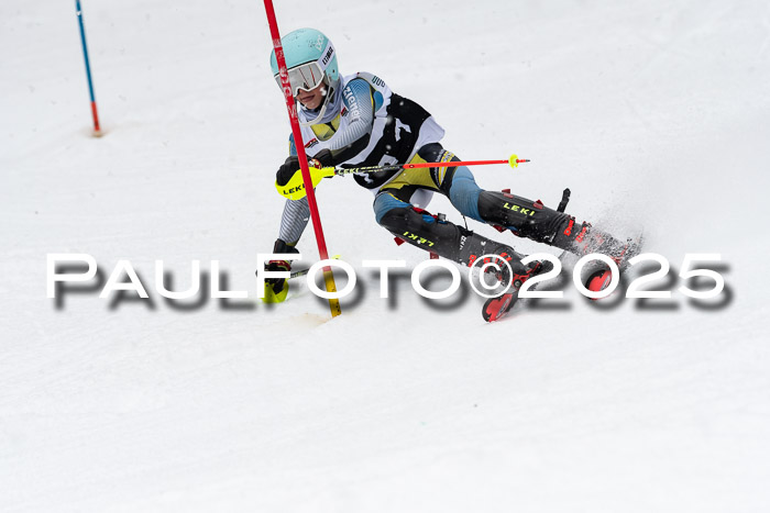Actanol Schülercup Alpin U14 SL, 14.02.2026