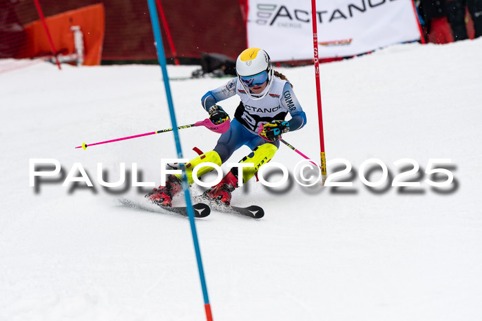 Actanol Schülercup Alpin U14 SL, 14.02.2026