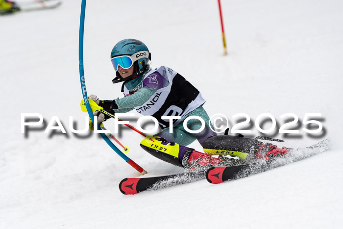 Actanol Schülercup Alpin U14 SL, 14.02.2026