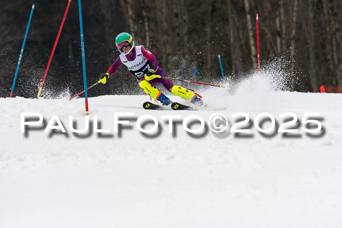 Actanol Schülercup Alpin U14 SL, 14.02.2026