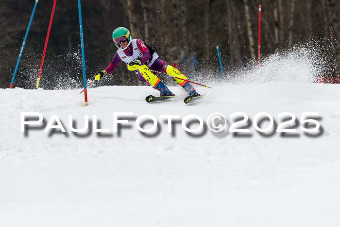 Actanol Schülercup Alpin U14 SL, 14.02.2026