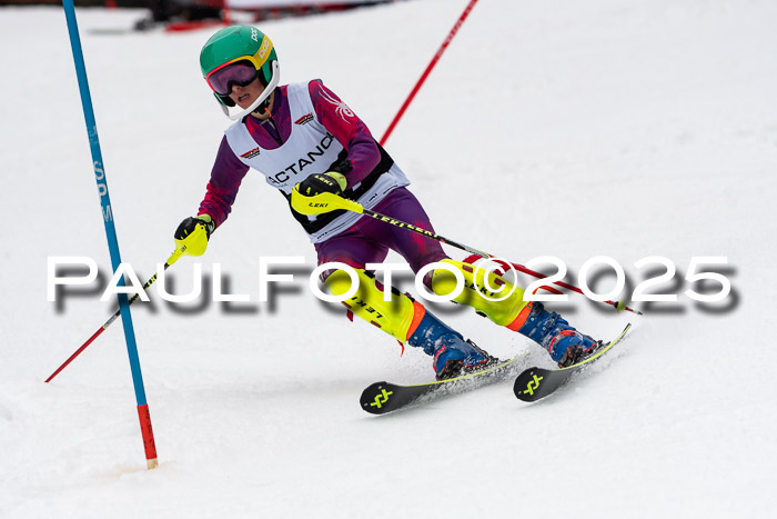 Actanol Schülercup Alpin U14 SL, 14.02.2026