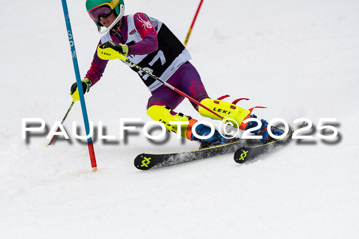 Actanol Schülercup Alpin U14 SL, 14.02.2026