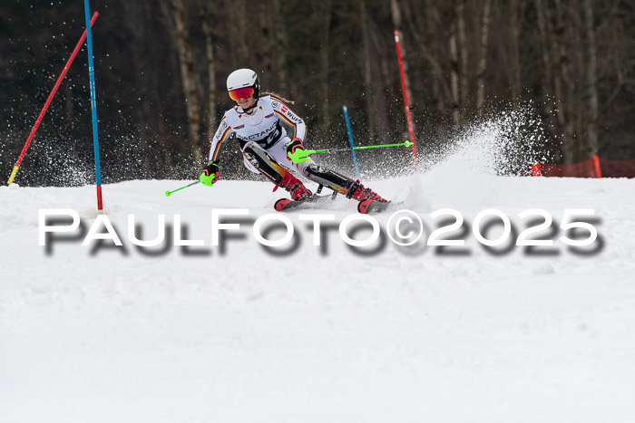 Actanol Schülercup Alpin U14 SL, 14.02.2026