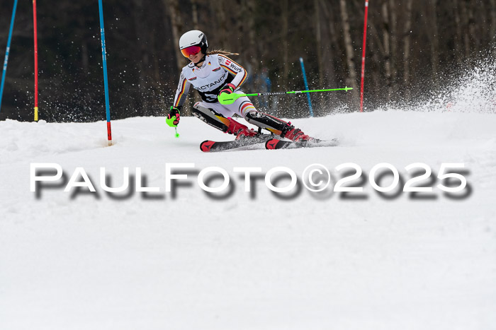 Actanol Schülercup Alpin U14 SL, 14.02.2026