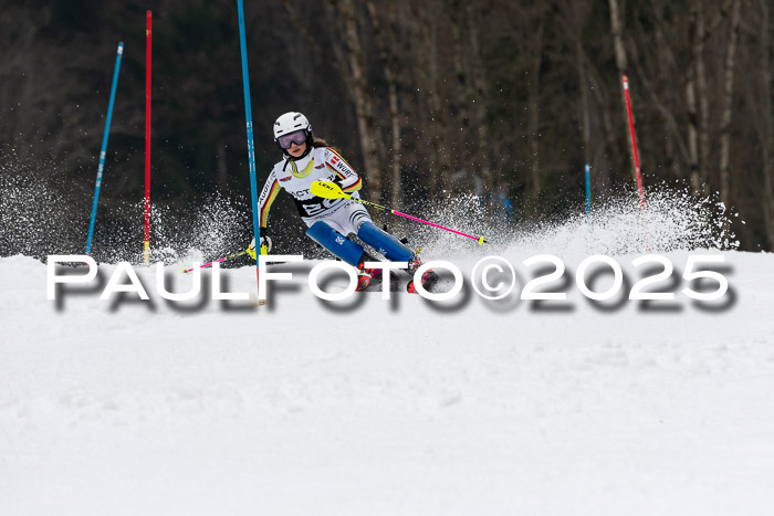 Actanol Schülercup Alpin U14 SL, 14.02.2026