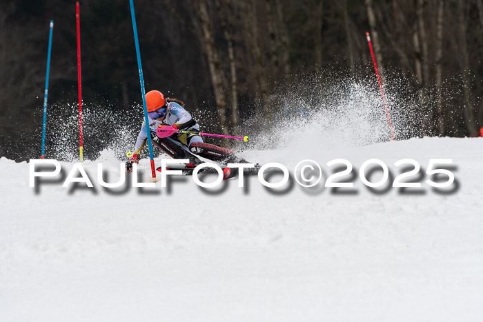 Actanol Schülercup Alpin U14 SL, 14.02.2026