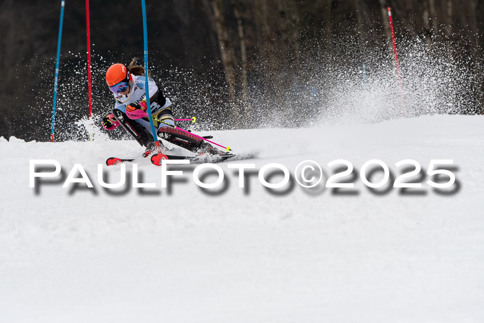 Actanol Schülercup Alpin U14 SL, 14.02.2026