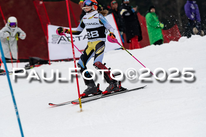 Actanol Schülercup Alpin U14 SL, 14.02.2026