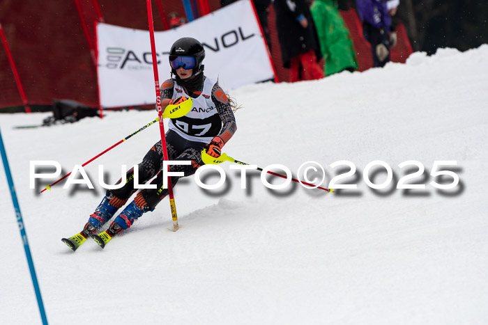 Actanol Schülercup Alpin U14 SL, 14.02.2026