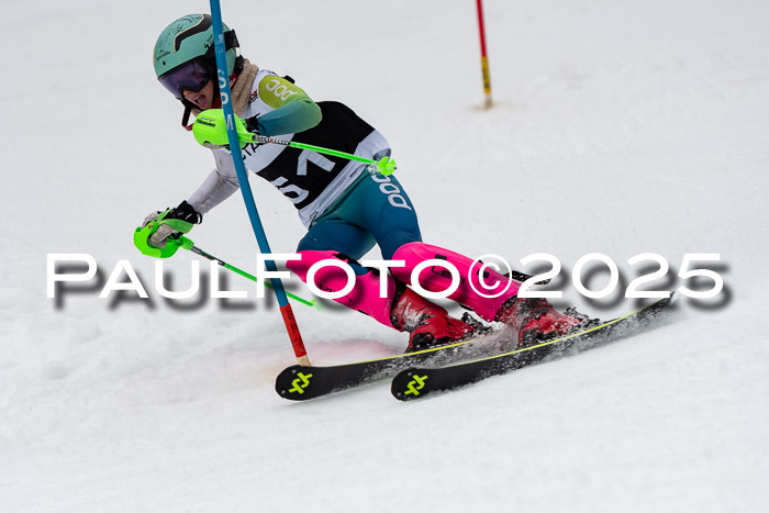 Actanol Schülercup Alpin U14 SL, 14.02.2026