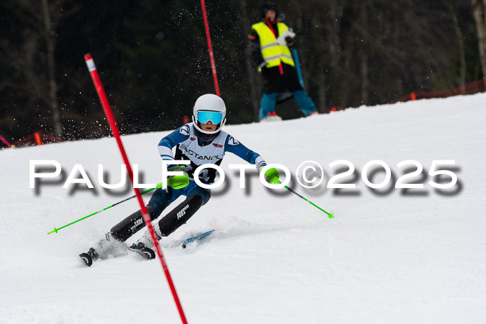 Actanol Schülercup Alpin U14 SL, 14.02.2026