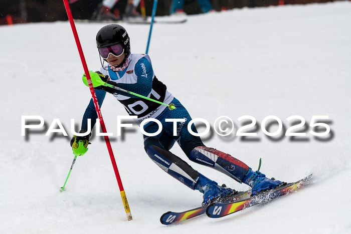 Actanol Schülercup Alpin U14 SL, 14.02.2026
