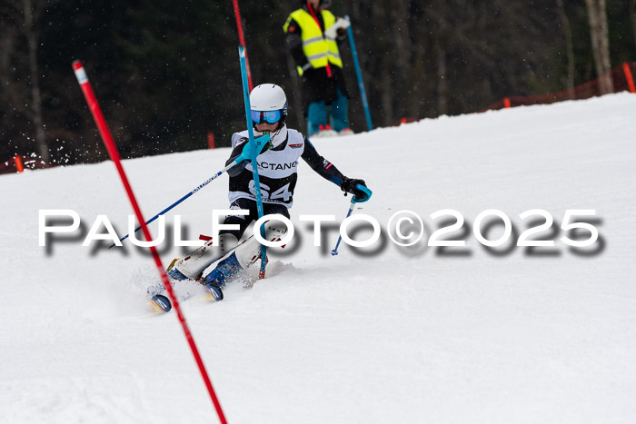 Actanol Schülercup Alpin U14 SL, 14.02.2026