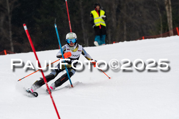 Actanol Schülercup Alpin U14 SL, 14.02.2026