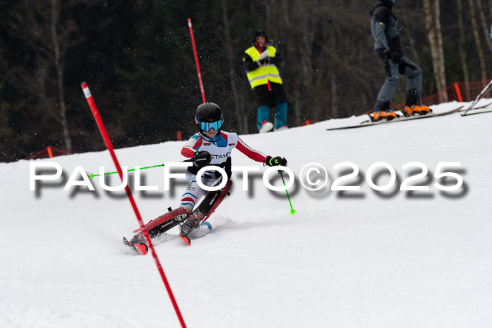 Actanol Schülercup Alpin U14 SL, 14.02.2026