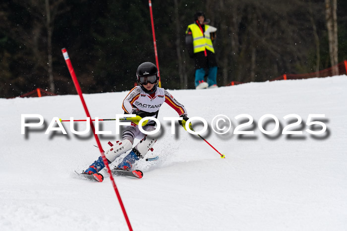 Actanol Schülercup Alpin U14 SL, 14.02.2026