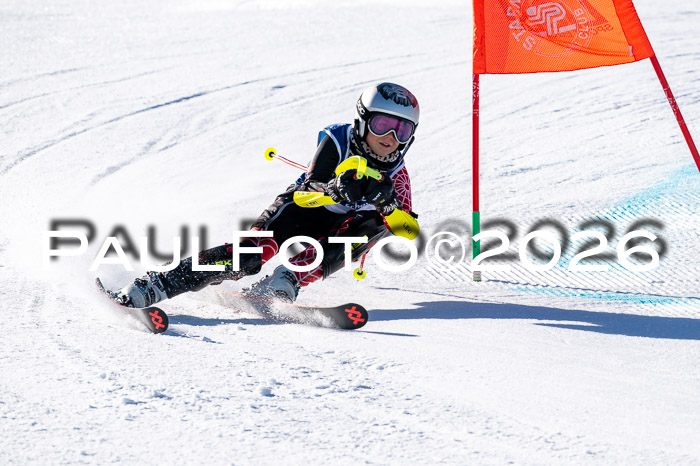 Sechzger Pokal der Skilöwen; U8 - U12 SVM Rennserie VRS 13.01.2024