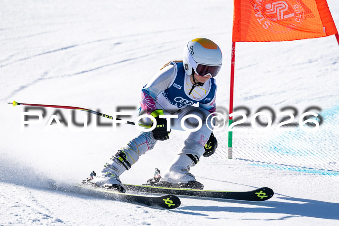 Sechzger Pokal der Skilöwen; U8 - U12 SVM Rennserie VRS 13.01.2024