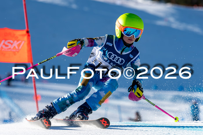 SVM U8/10 Sport Gürteler Cup Training, 28.02.2026