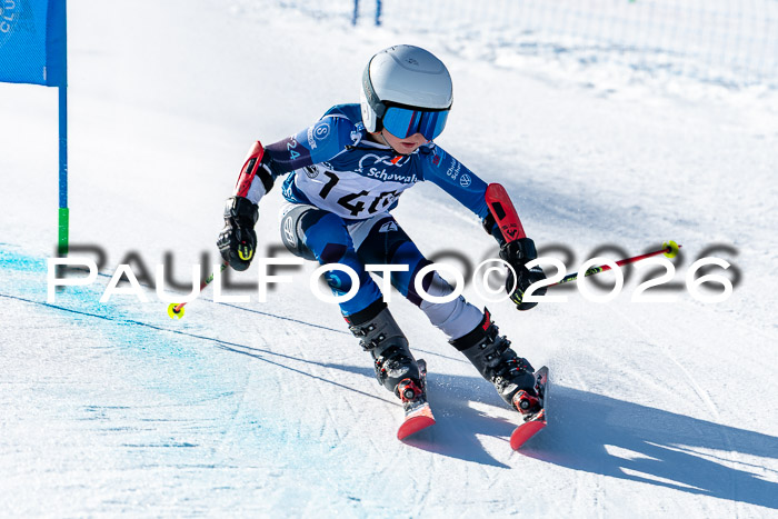 SVM U8/10 Sport Gürteler Cup Training, 28.02.2026