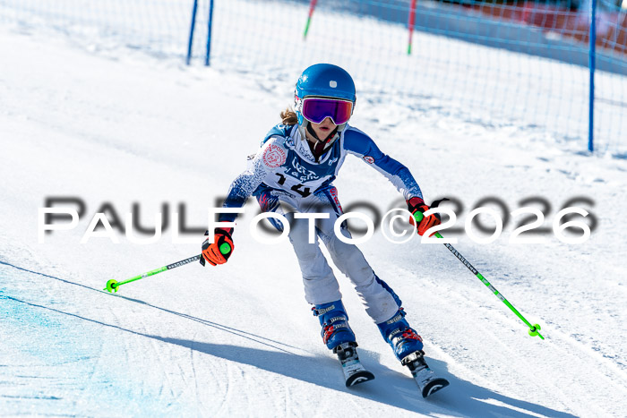 SVM U8/10 Sport Gürteler Cup Training, 28.02.2026