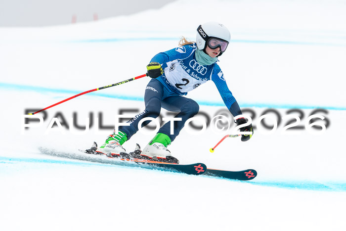 SVM  7. Stumbaum Hausfreunde Cup U12