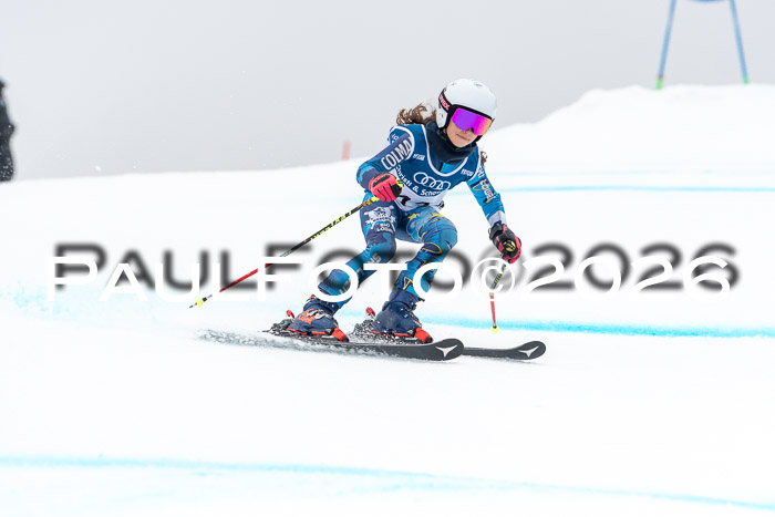 SVM  7. Stumbaum Hausfreunde Cup U12