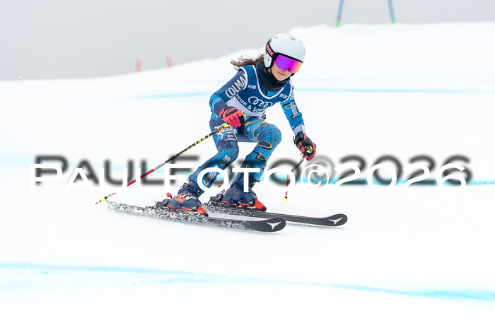 SVM  7. Stumbaum Hausfreunde Cup U12