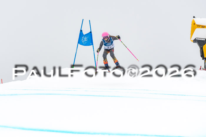 SVM  7. Stumbaum Hausfreunde Cup U12