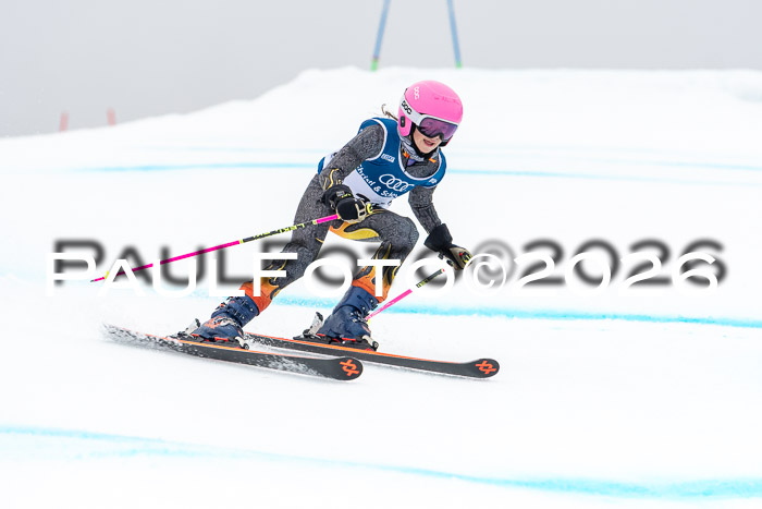 SVM  7. Stumbaum Hausfreunde Cup U12