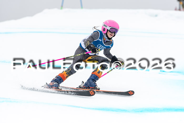 SVM  7. Stumbaum Hausfreunde Cup U12