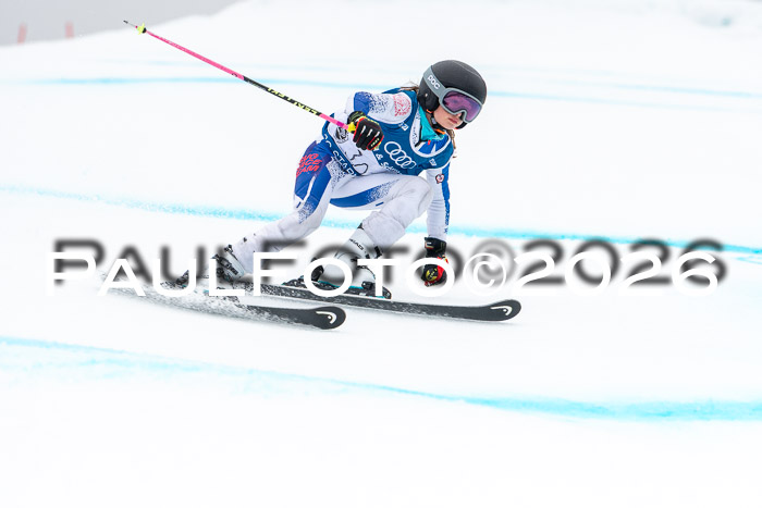 SVM  7. Stumbaum Hausfreunde Cup U12