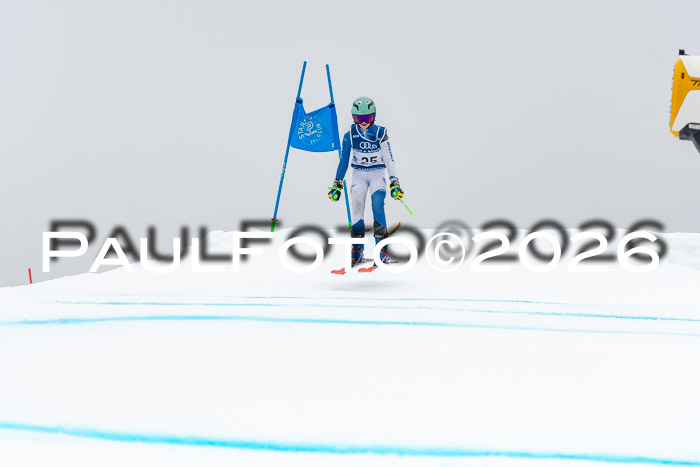 SVM  7. Stumbaum Hausfreunde Cup U12