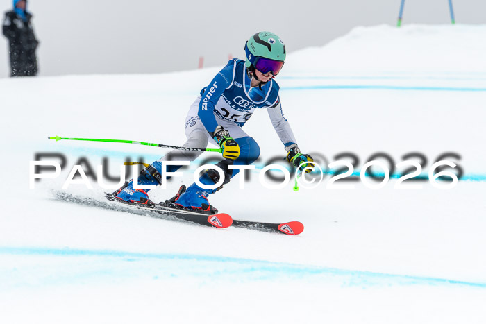 SVM  7. Stumbaum Hausfreunde Cup U12