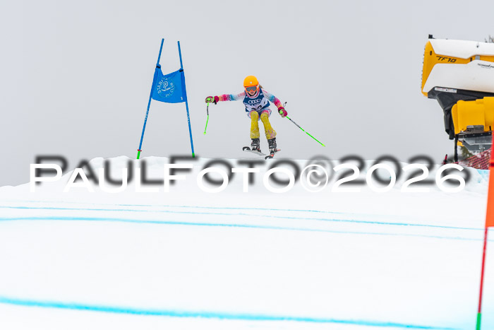 SVM  7. Stumbaum Hausfreunde Cup U12