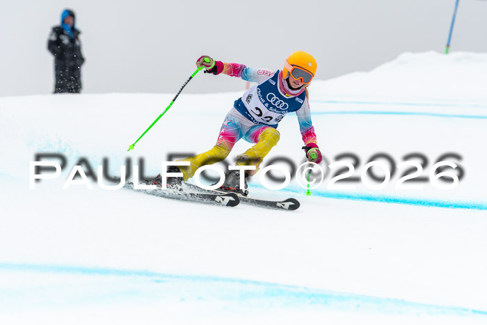 SVM  7. Stumbaum Hausfreunde Cup U12