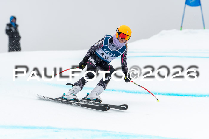 SVM  7. Stumbaum Hausfreunde Cup U12