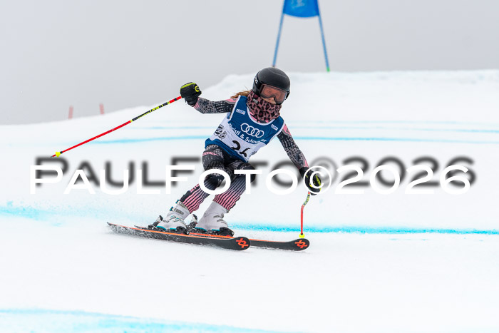 SVM  7. Stumbaum Hausfreunde Cup U12