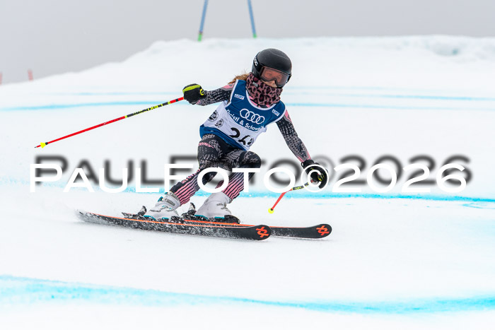 SVM  7. Stumbaum Hausfreunde Cup U12