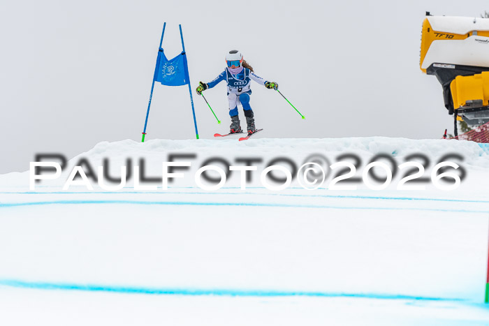 SVM  7. Stumbaum Hausfreunde Cup U12