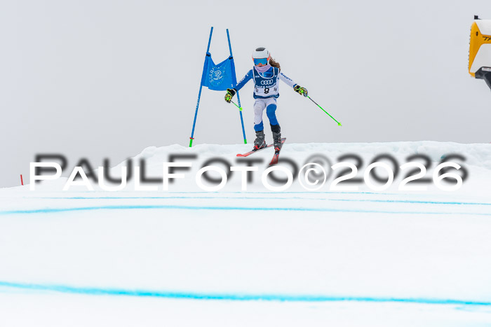 SVM  7. Stumbaum Hausfreunde Cup U12