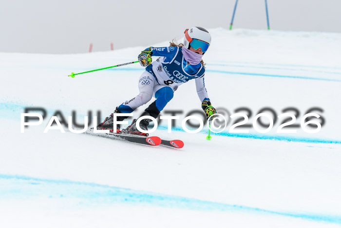 SVM  7. Stumbaum Hausfreunde Cup U12