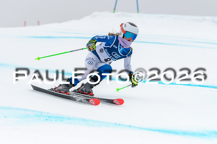 SVM  7. Stumbaum Hausfreunde Cup U12