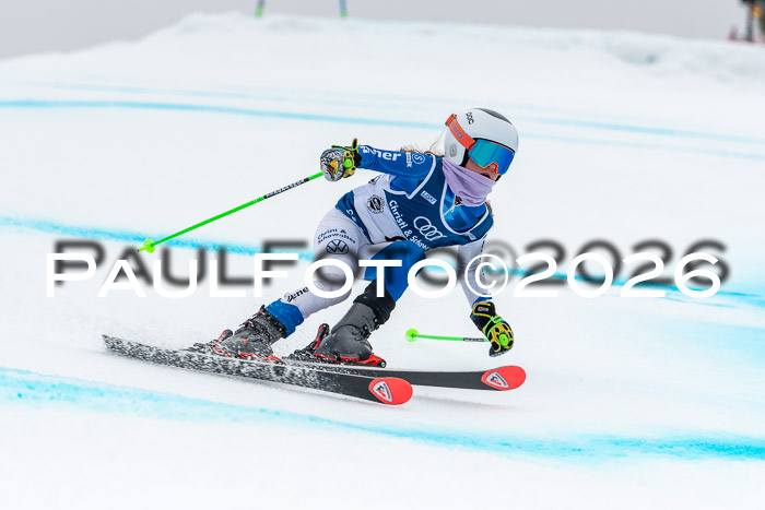 SVM  7. Stumbaum Hausfreunde Cup U12